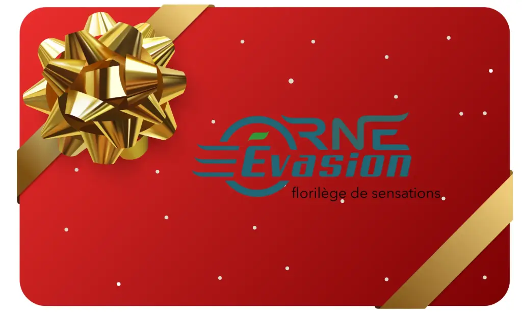 Carte-cadeau : Offrez 3h00 d'évasion