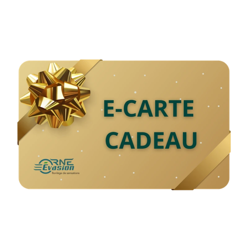🎁 Carte Cadeau (35€)